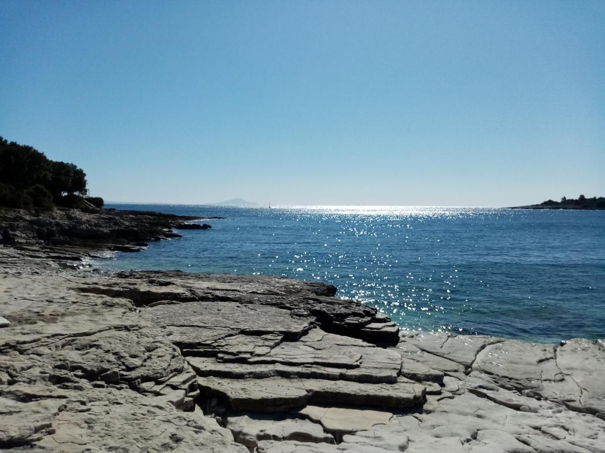 Kuca Za Odmor Dean Pavicini Exterior foto
