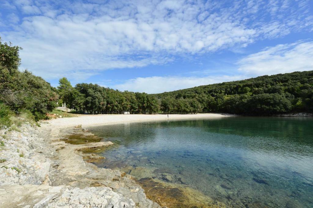 Kuca Za Odmor Dean Pavicini Exterior foto